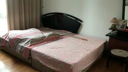 Belmond Green (D10), Condominium #333325171